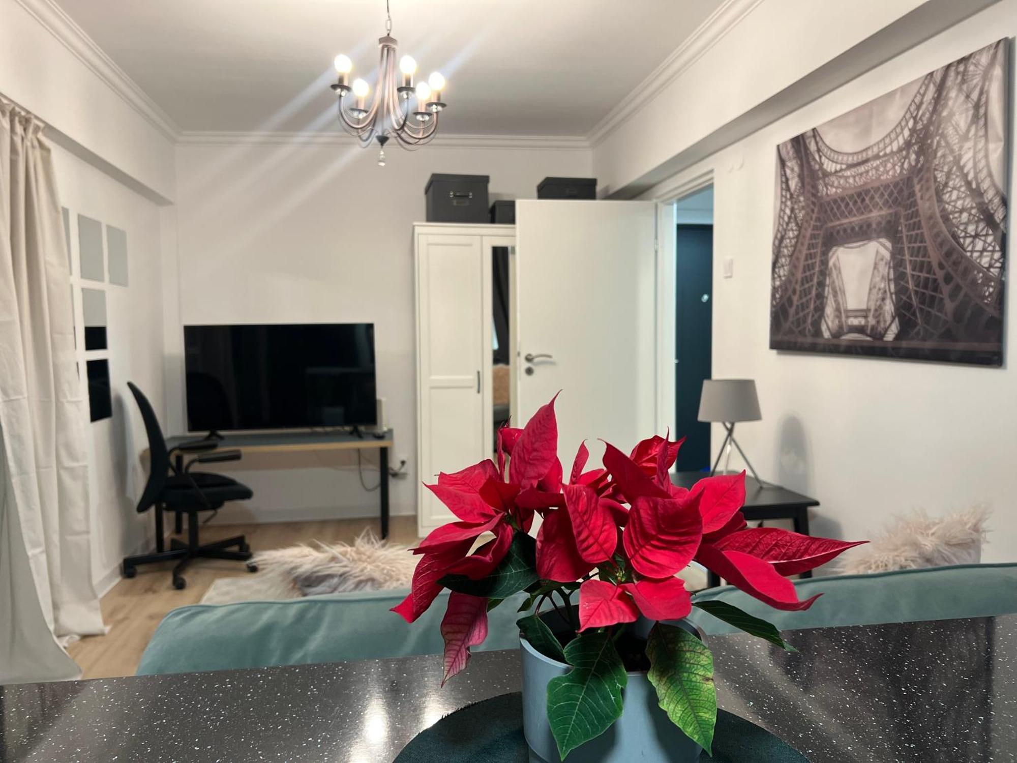 Cosy Studio Floreasca Bükreş Dış mekan fotoğraf