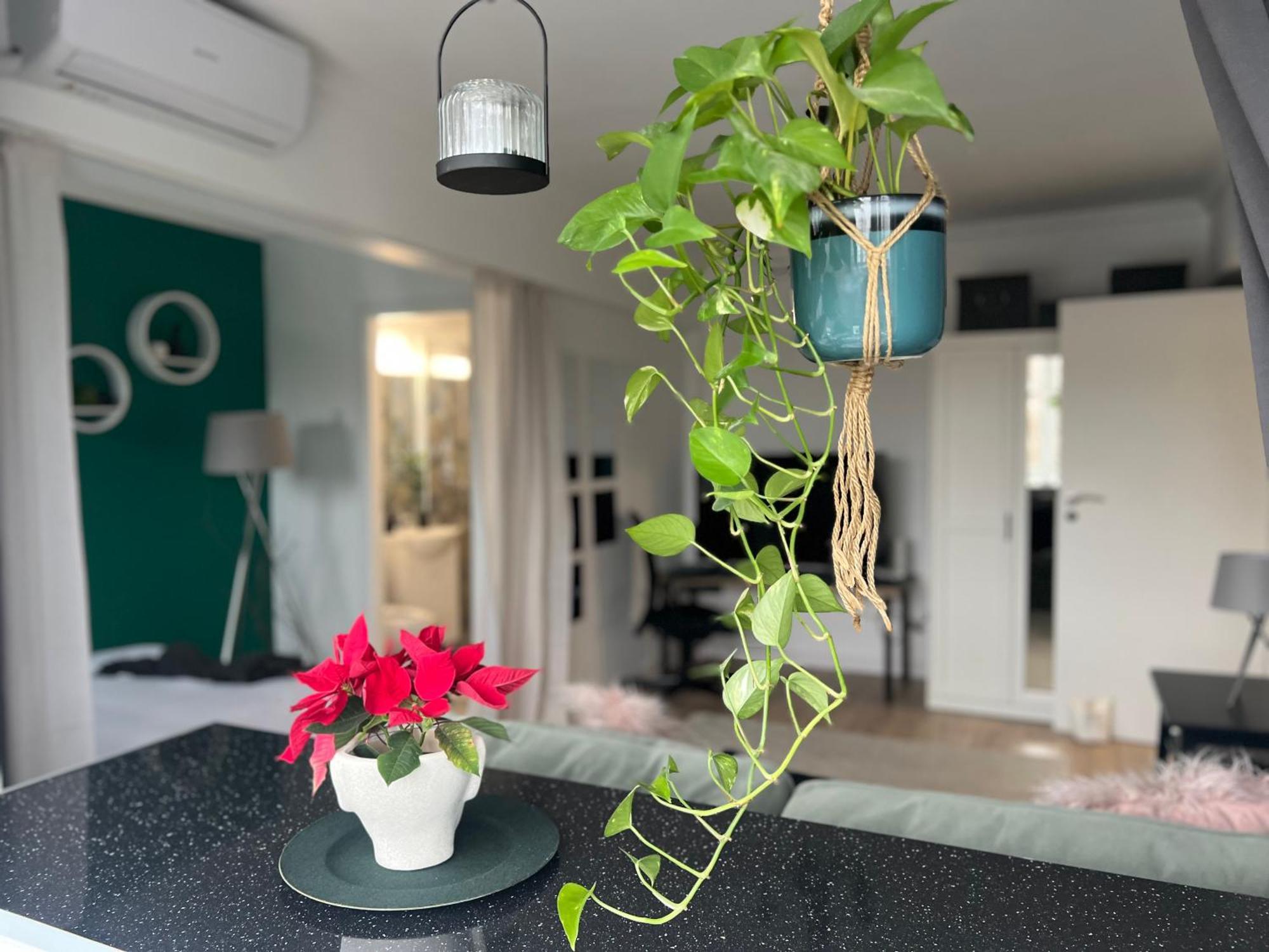 Cosy Studio Floreasca Bükreş Dış mekan fotoğraf