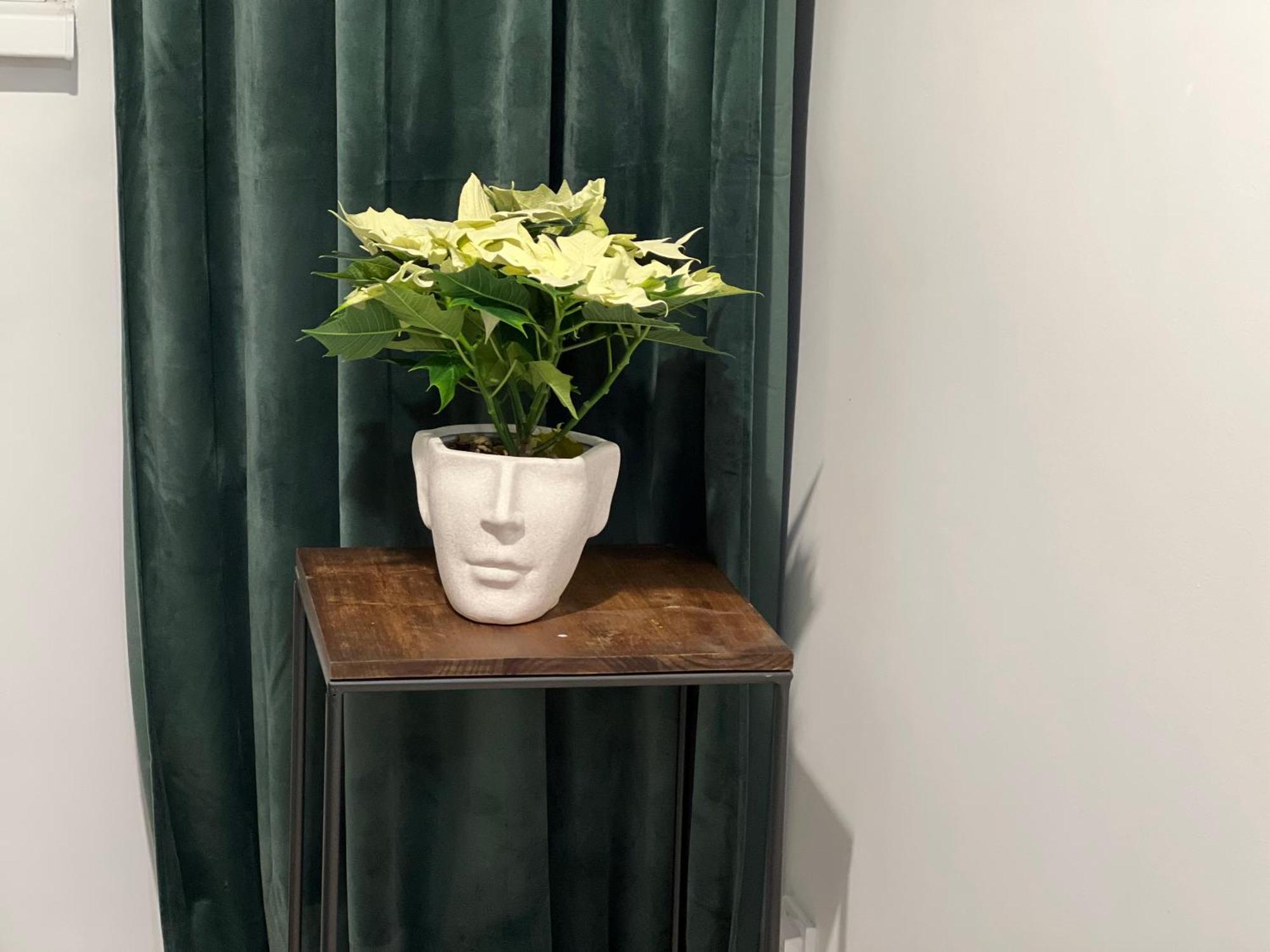 Cosy Studio Floreasca Bükreş Dış mekan fotoğraf